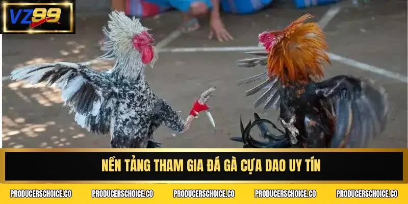 Nền tảng tham gia Đá gà cựa dao uy tín