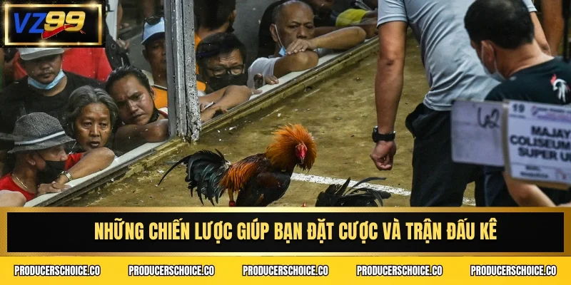 Những chiến lược giúp bạn đặt cược và trận đấu kê