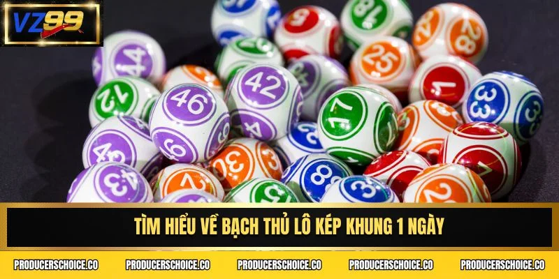 Tìm hiểu về bạch thủ lô kép khung 1 ngày