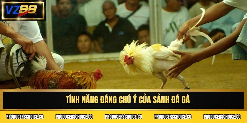 Tính năng đáng chú ý của sảnh đá gà