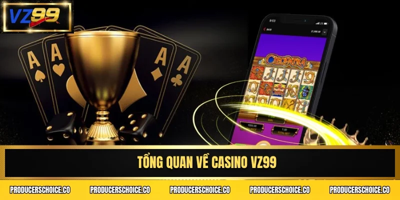 Tổng quan về Casino VZ99